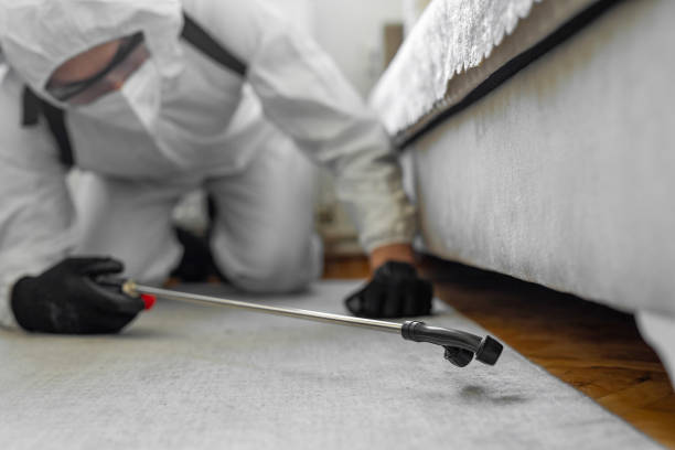 Professional Bed Bug Control technician working in South Corning, NY
